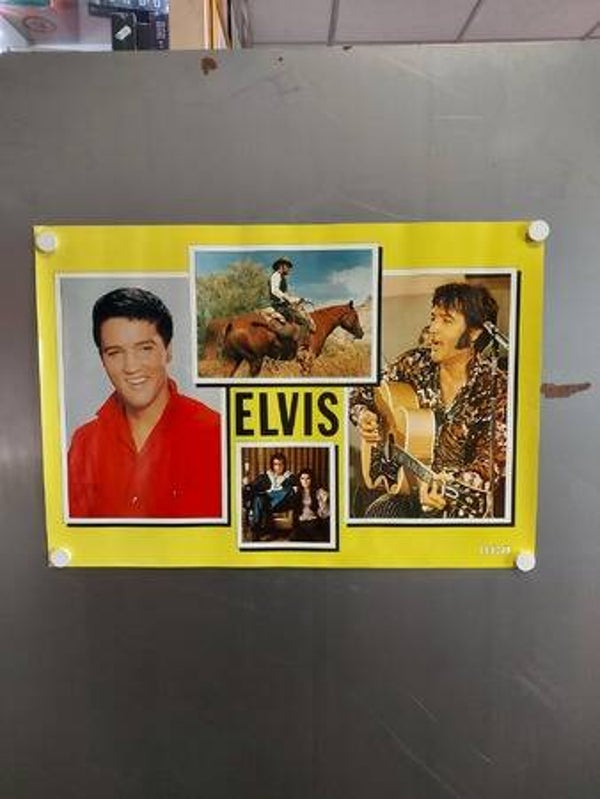 ELVIS PRESLEY (Poster - 15)