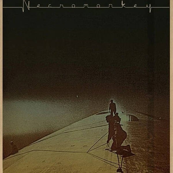 Necromonkey - A Glimpse Of Possible Endings (LP)