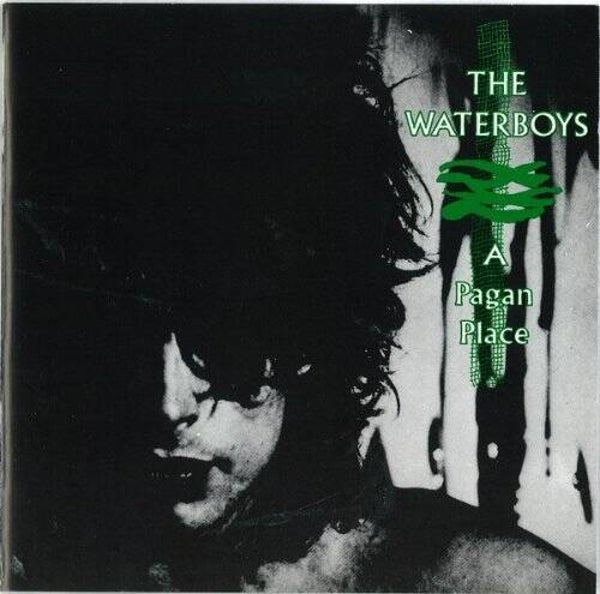 The Waterboys – A Pagan Place (LP)