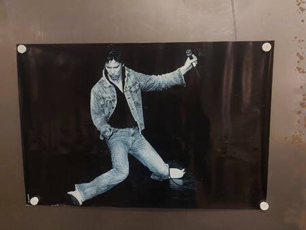 SHAKIN’ STEVENS (Poster - 79)