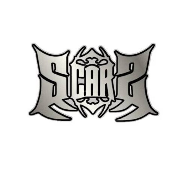 Scars pin