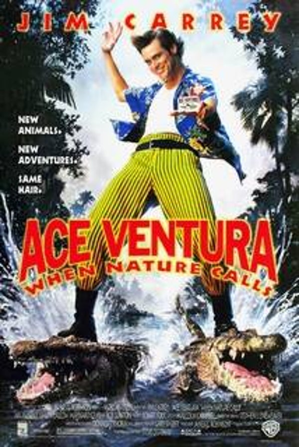 Ace Ventura - When Nature Calls (DVD)