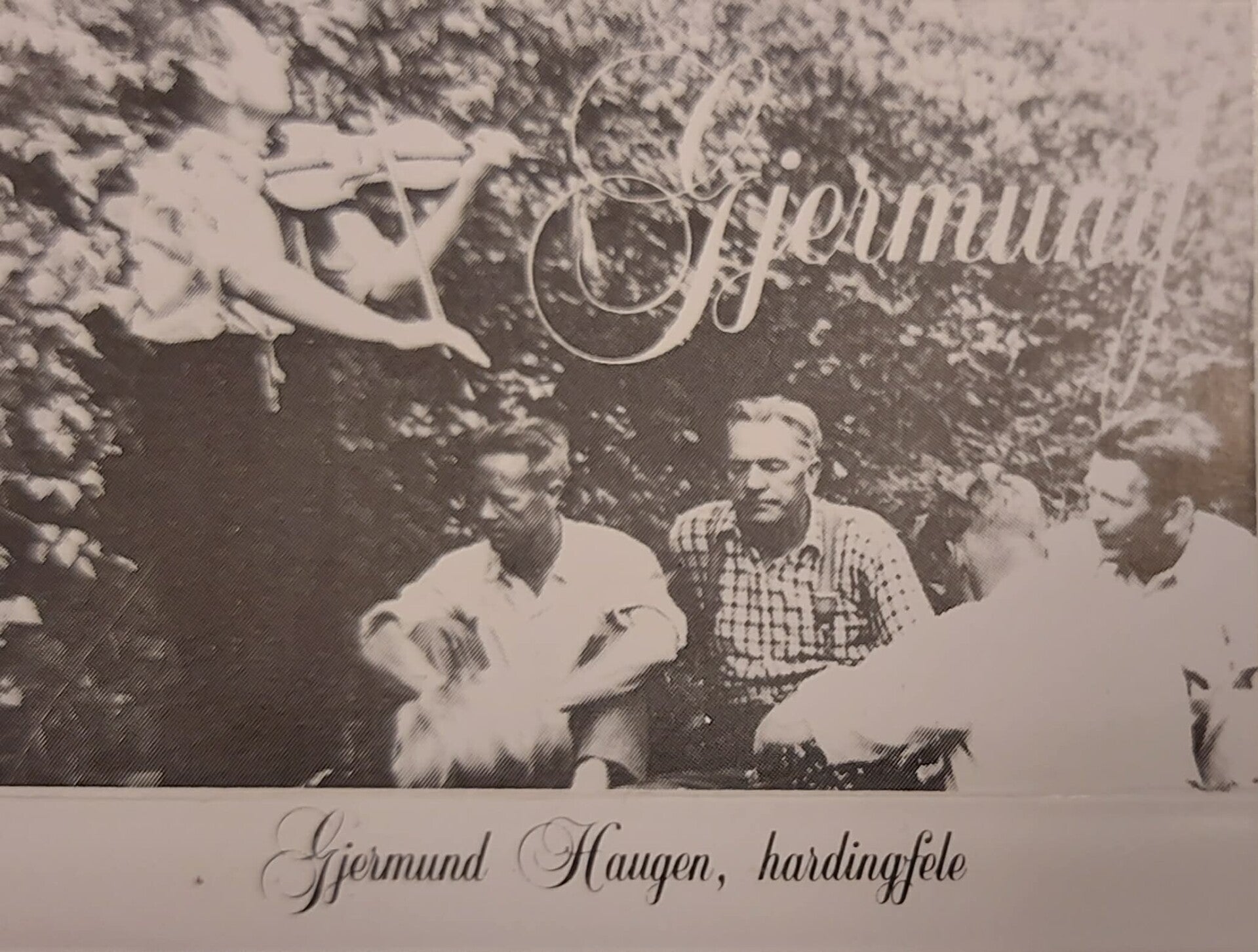 Gjermund Haugen – Hardingfele (Kassett)