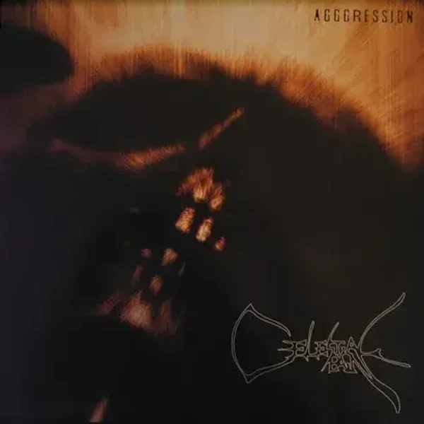 Celestial Pain ‎– Aggression (LP)