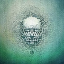 22 – You Are Creating Limb 1 (LP, Farget)