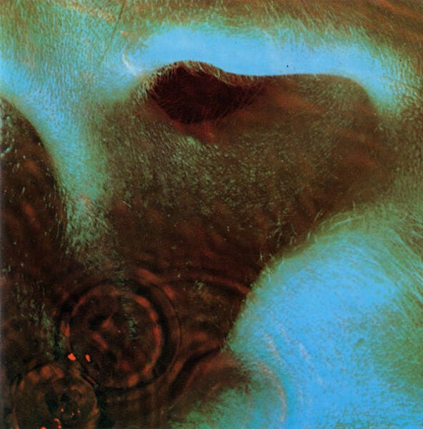 Pink Floyd – Meddle (CD)