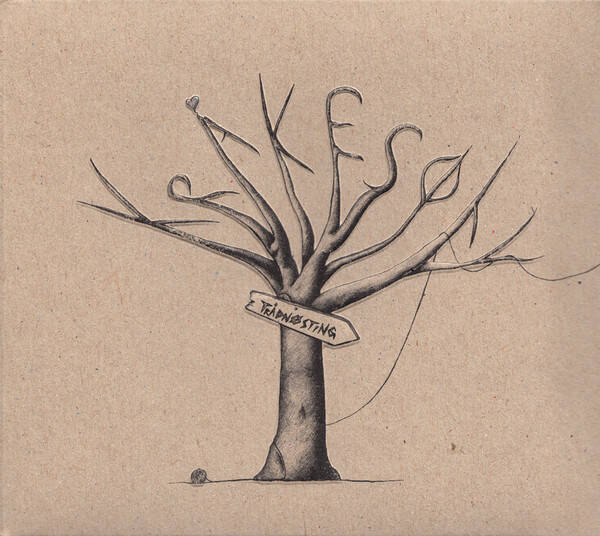 Kråkesølv – Trådnøsting (CD)