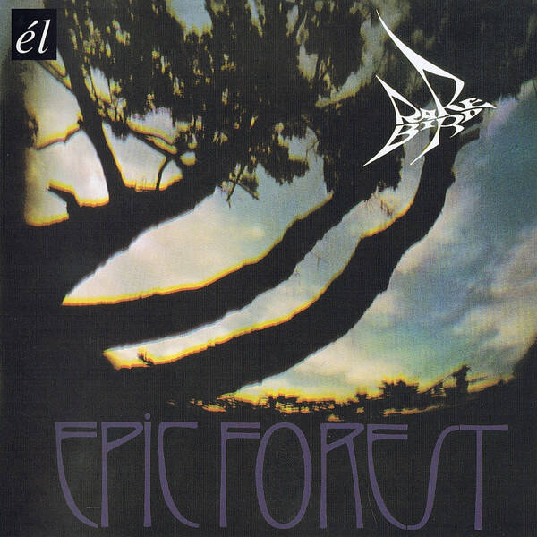 Rare Bird – Epic Forest (CD)