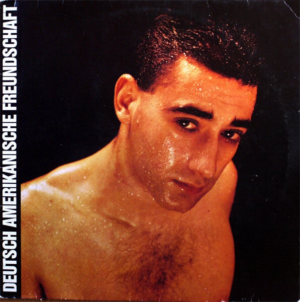 Deutsch Amerikanische Freundschaft – Alles Ist Gut (LP)