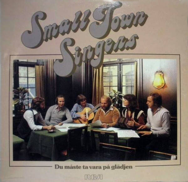 Small Town Singers ‎– Du Måste Ta Vara På Glädjen (LP)