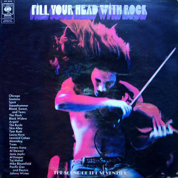 Diverse - Fill Your Head With Rock (2LP)