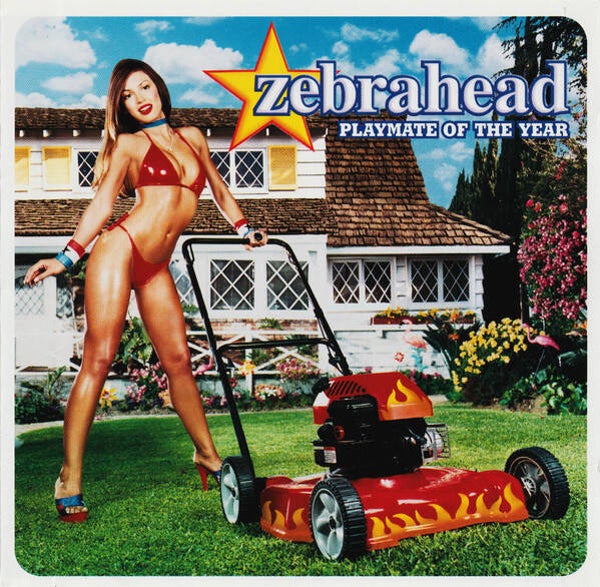 Zebrahead – Playmate Of The Year (CD)