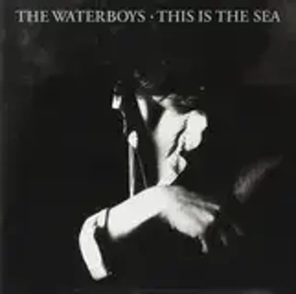 The Waterboys – This Is The Sea (LP)