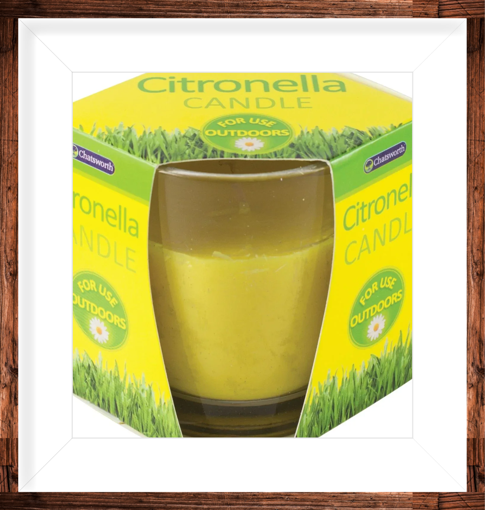Citronella Glass Candle