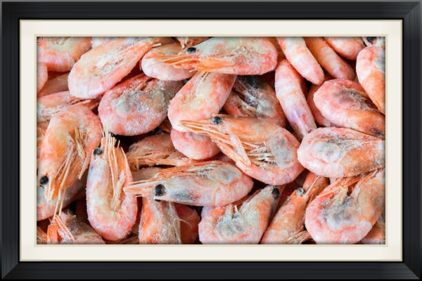 Shrimp frozen