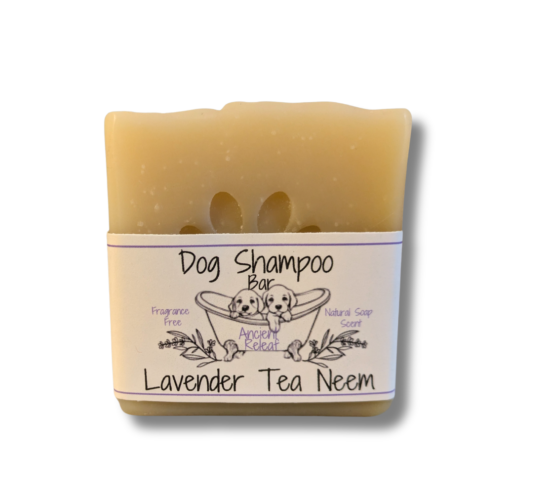 Lavender Tea Neem Dog Shampoo