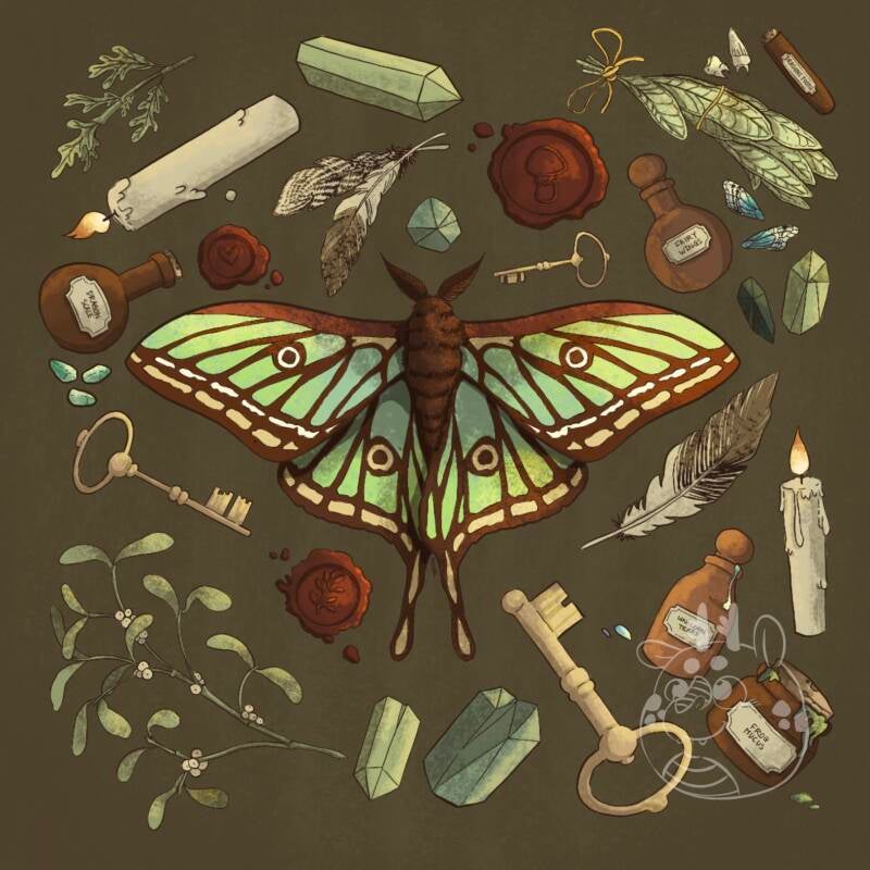 Botanisch geïnspireerde illustratie met een magisch tintje, tincturen en ingrediënten van een magische apotheek met een Spaanse Luna moth