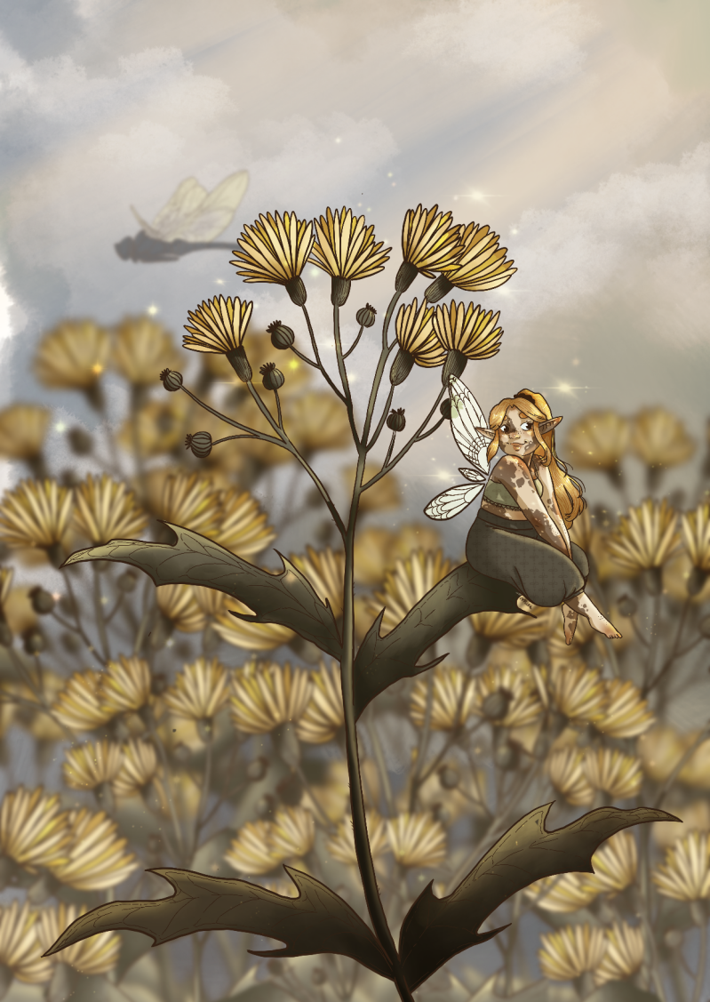 image1-3.png