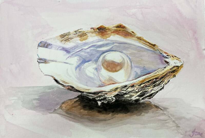 SEASIDE TREASURES, shells - watercolour painting by Seasons Art class - art group Darlington 