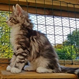 Lillemor15-10-20183.jpg