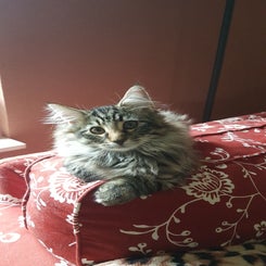 img-20220722-wa0050.jpeg