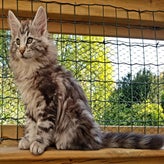 Baldr15-10-20182-1.jpg