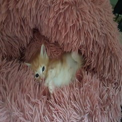 img-20220523-wa0025.jpeg