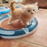 Gideon26-07-20182-2.jpg