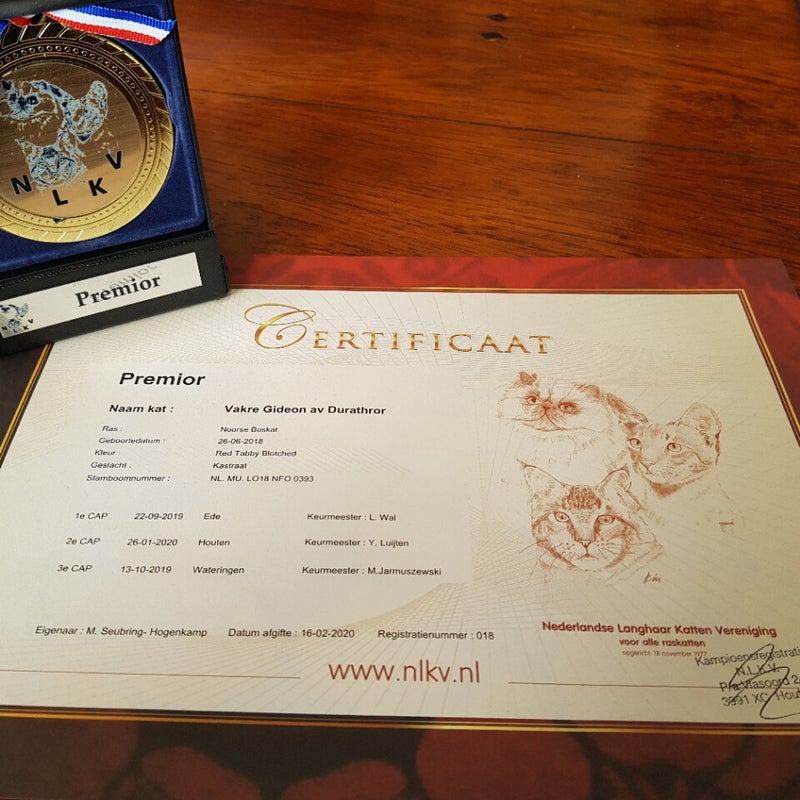 certificaatmedaillegideon.jpg