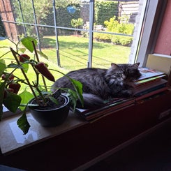 20230708_132830.jpg