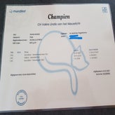 championcertificaatkopie.jpg