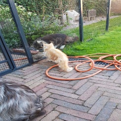 img-20220809-wa0011.jpeg