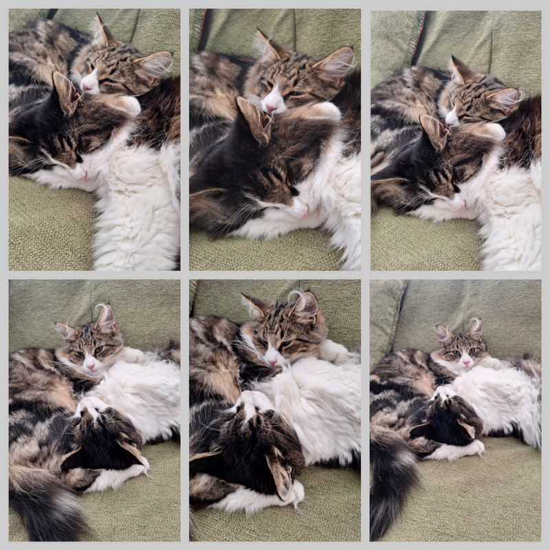 img-20241013-wa0016-standard.png