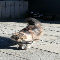 img-20250407-wa0010-standard.jpg