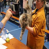 img-20250525-wa0014-standard.jpg