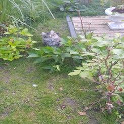 img-20220716-wa0009.jpeg