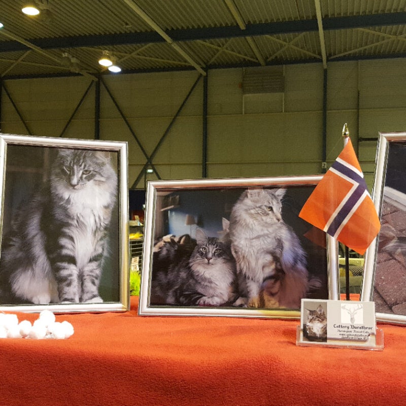 kerstbalthenlily-1.jpeg