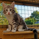 Lillemor15-10-20184.jpg