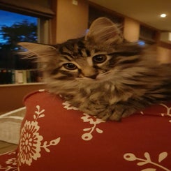 img-20220627-wa0069.jpeg