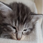 lillith03-09-20181-1.jpg
