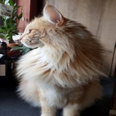20220314_160252.jpg