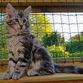 Lillith15-10-20183.jpg