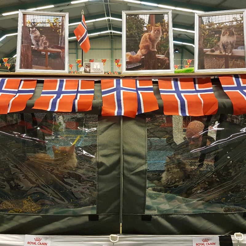 leifrgideonfloortjegroningensturdi-1.jpg