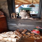img-20220325-wa0053.jpeg