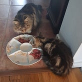 20201006_192235.jpg