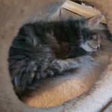 20201227_135300.jpg