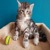 Baldr03-09-20184.jpg