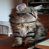 20201007_190512.jpg