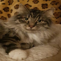 20230109_125143.jpg