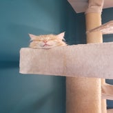 20201005_103356.jpg